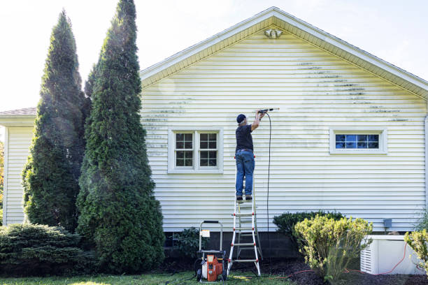 Best Building Exterior Washing  in Ladysmith, WI